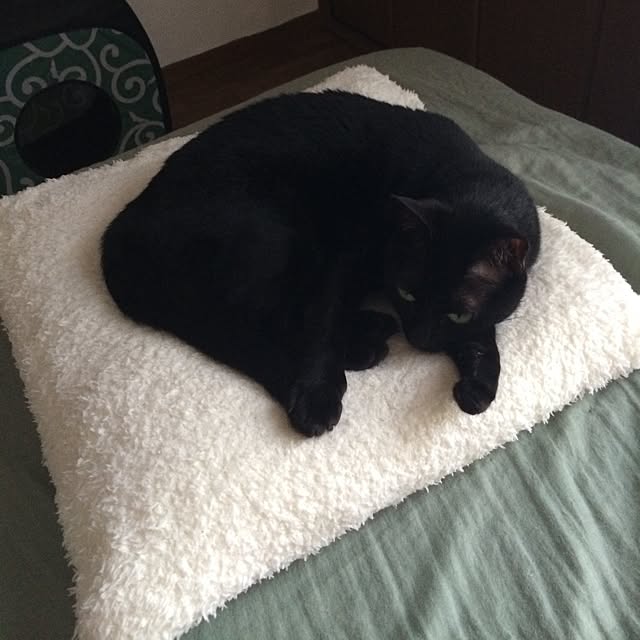 miyuさんの実例写真