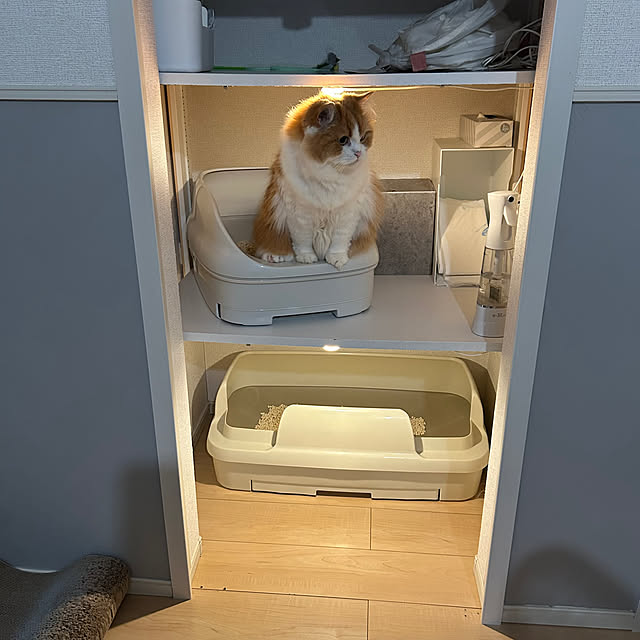 H.Tさんの部屋