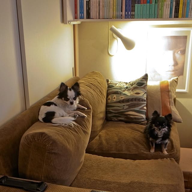Shunsukeさんの実例写真