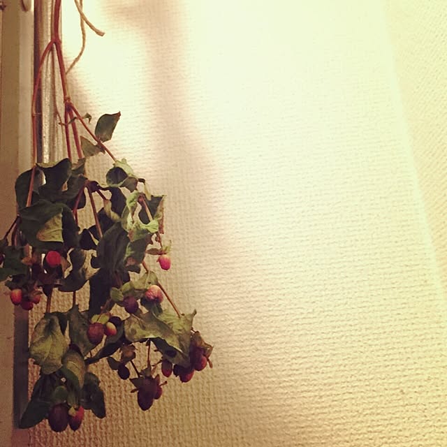 midoriさんの実例写真