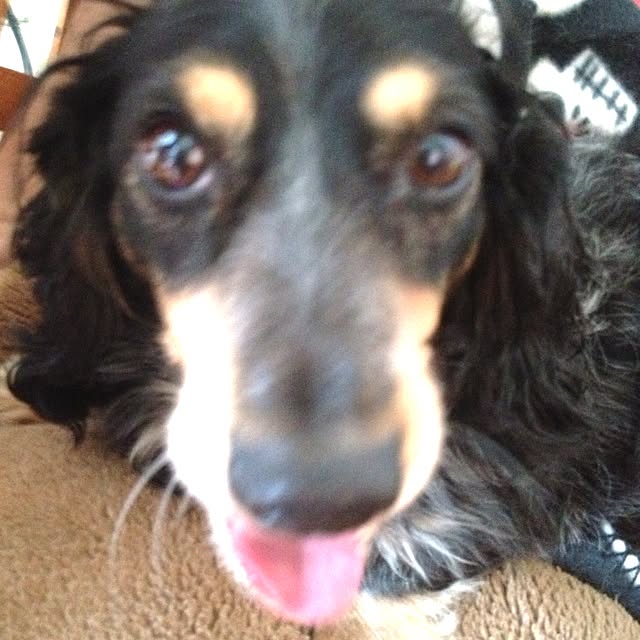 cocoさんの実例写真