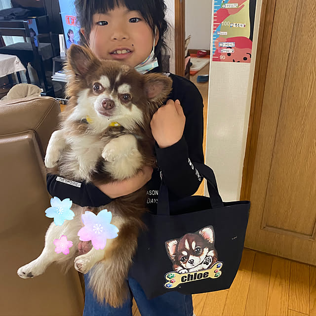 chIoeさんの実例写真
