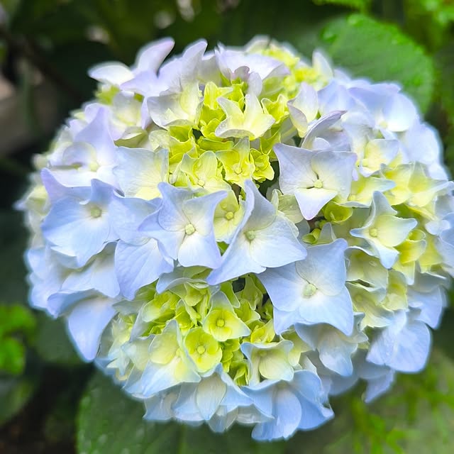 miharunさんの実例写真