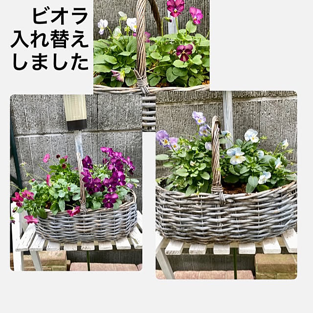 YuuKoさんの実例写真