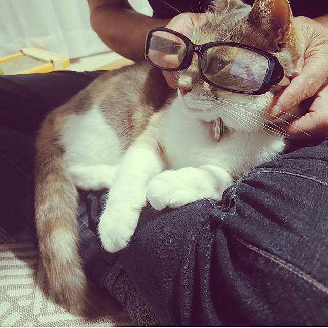 fukuさんの実例写真