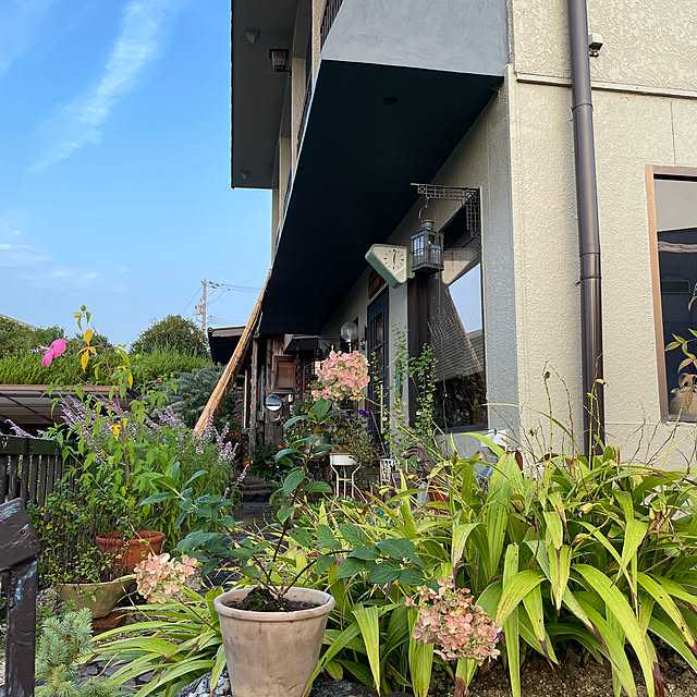 shin0719さんの実例写真