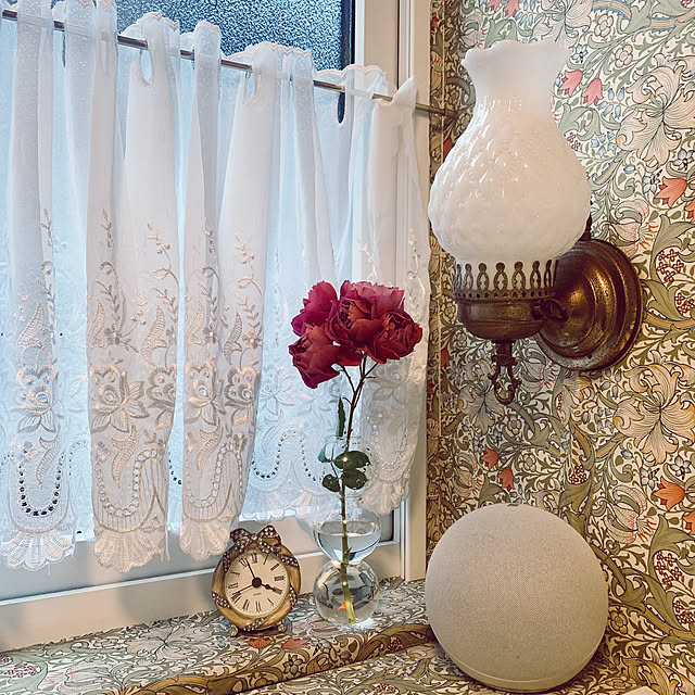 Momoさんの実例写真