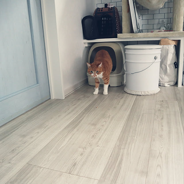 myuuさんの実例写真
