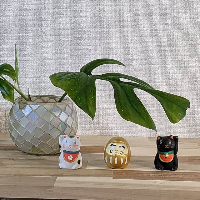 marosukeさんの実例写真