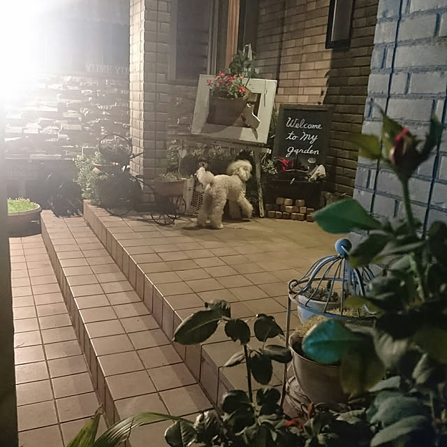 mocamamaさんの実例写真