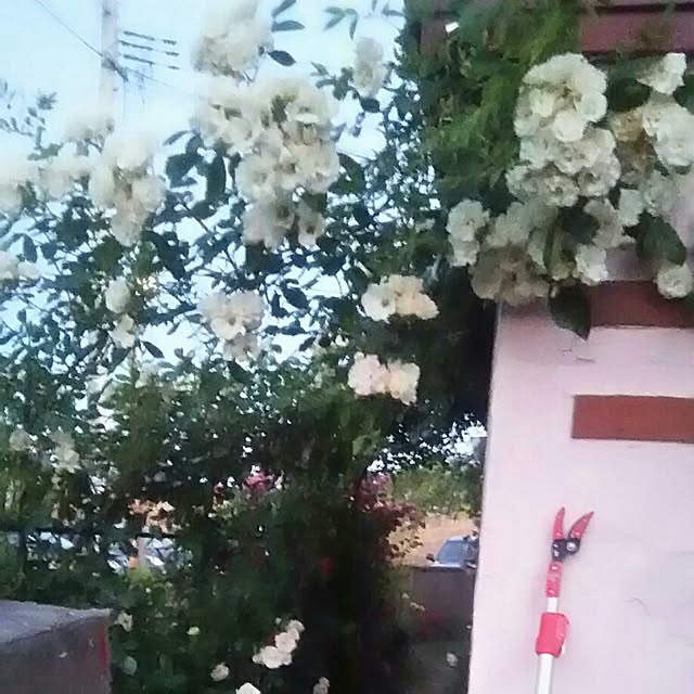 ganamiさんの実例写真