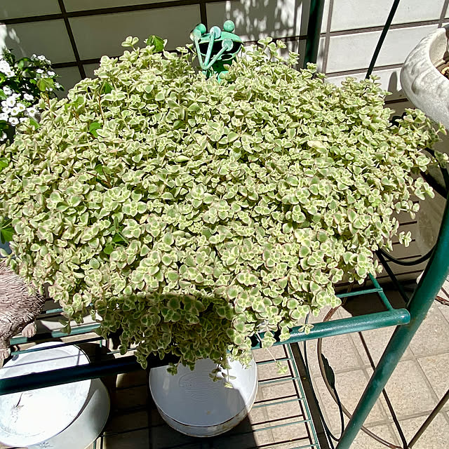 YuuKoさんの部屋