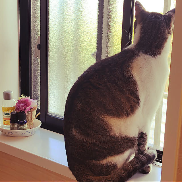 haruminさんの実例写真