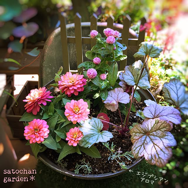 satochanさんの実例写真