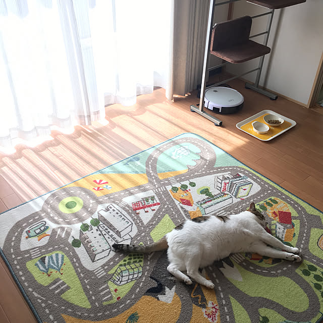 aiiaさんの実例写真