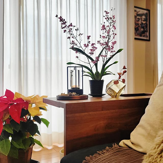 RSYさんの実例写真