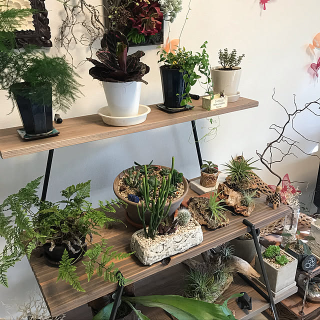 部屋全体のインテリア実例 - 2019-05-14 16:34:22