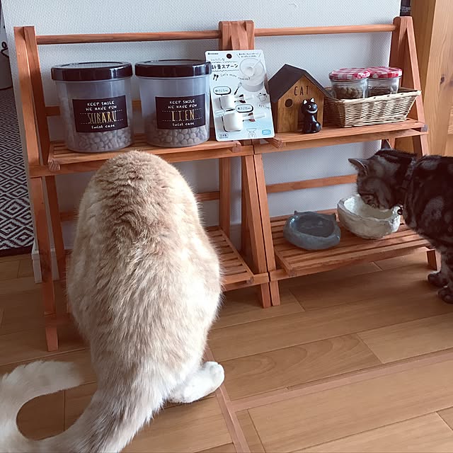 hiyupan88さんの実例写真