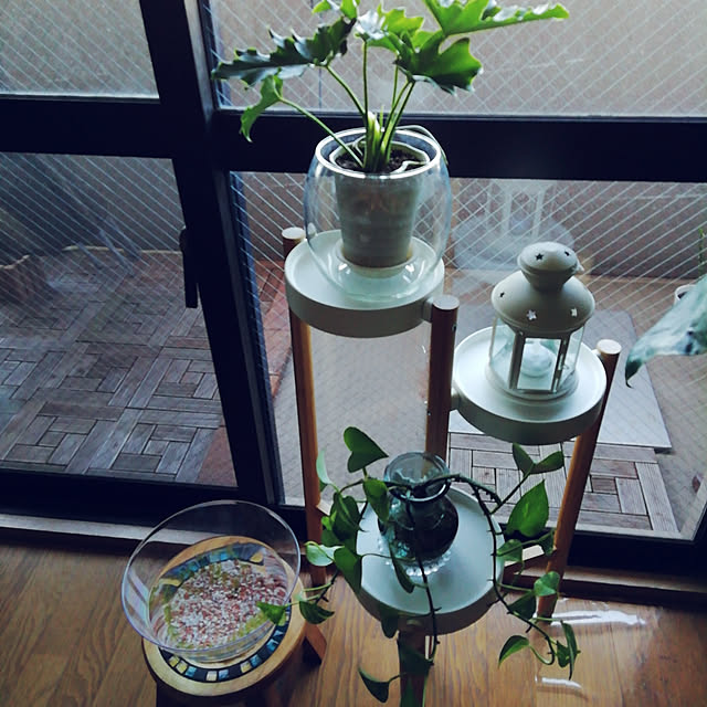 satomiさんの実例写真