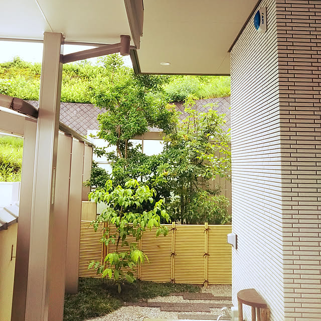 実例写真