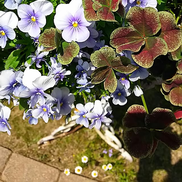 s.mamaさんの実例写真