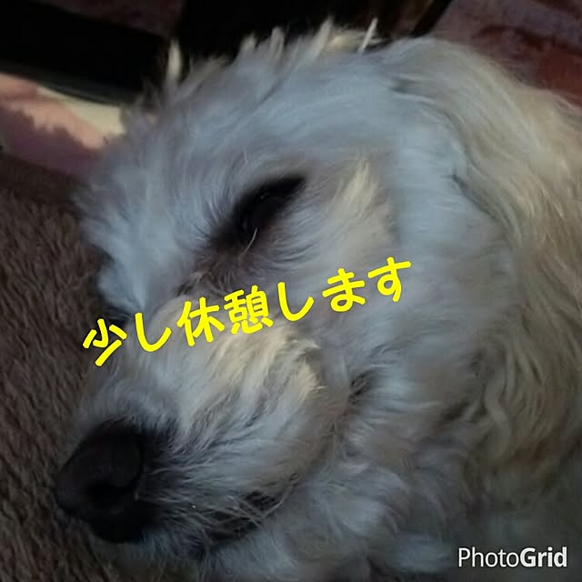 riesanchiさんの実例写真