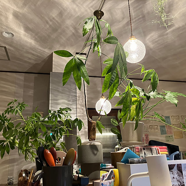 hikaruuさんの実例写真