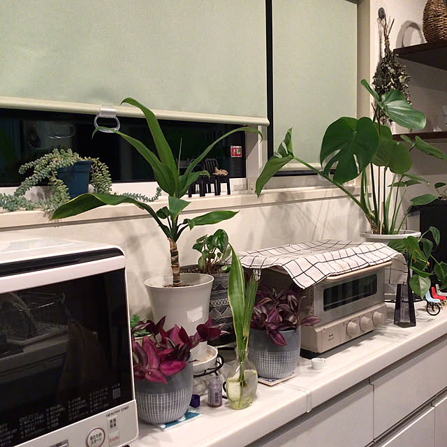 houenさんの部屋