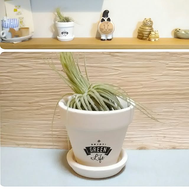 babypoohさんの実例写真