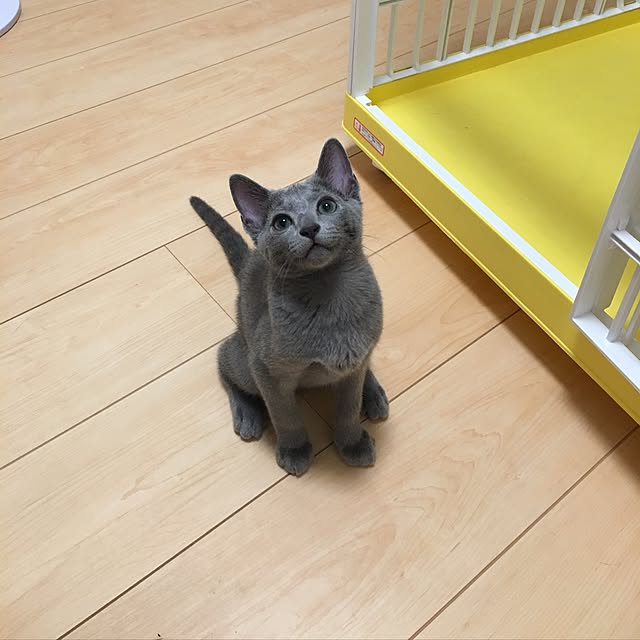 maripoさんの実例写真