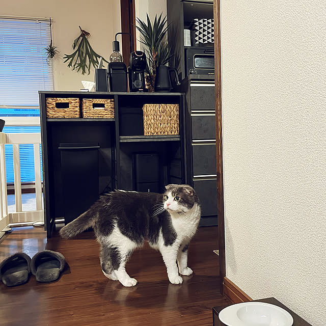 tansukeさんの実例写真