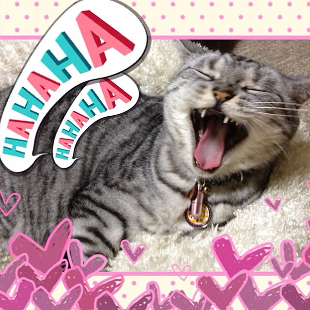 yuzuruさんの実例写真