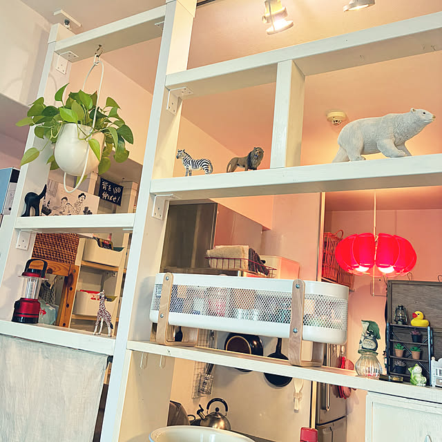 koshiregutyoさんの部屋