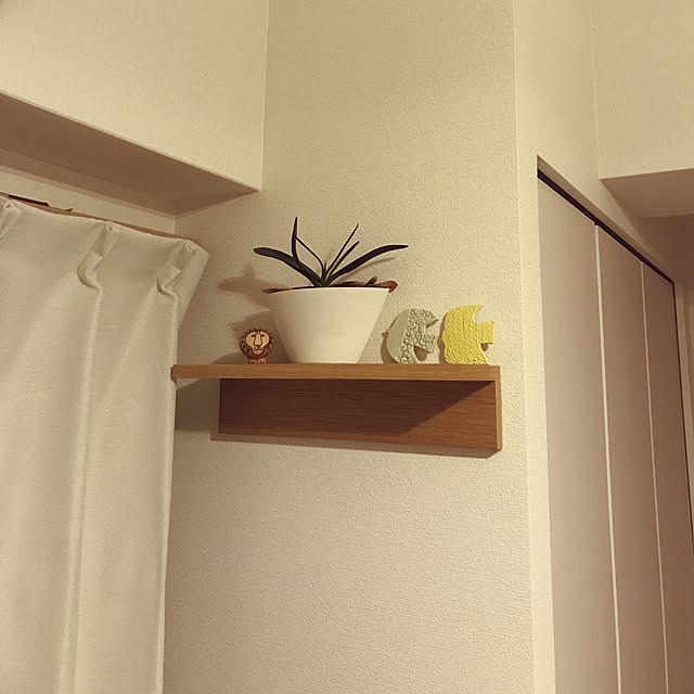 botanさんの実例写真