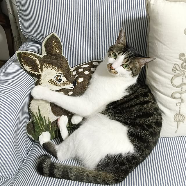 yuchiさんの実例写真