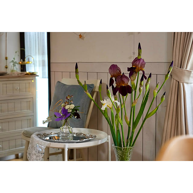 haruisabelさんの部屋