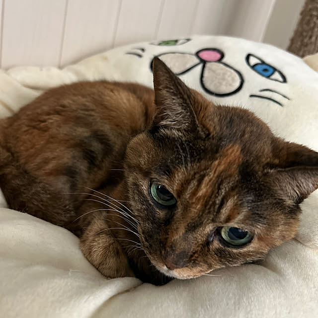 mikeume7さんの部屋