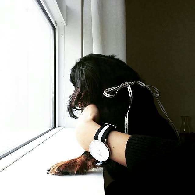 kuuさんの実例写真