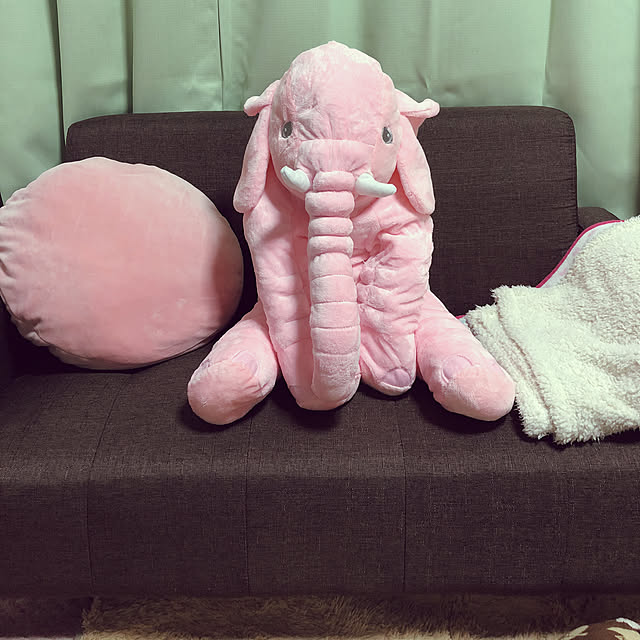 ririponさんの実例写真