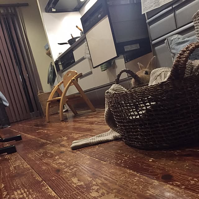 Mariさんの実例写真