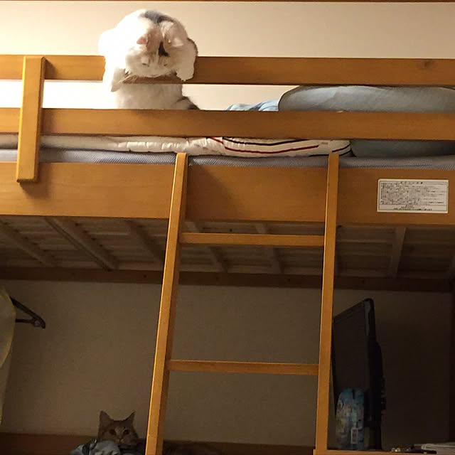 keibooさんの実例写真
