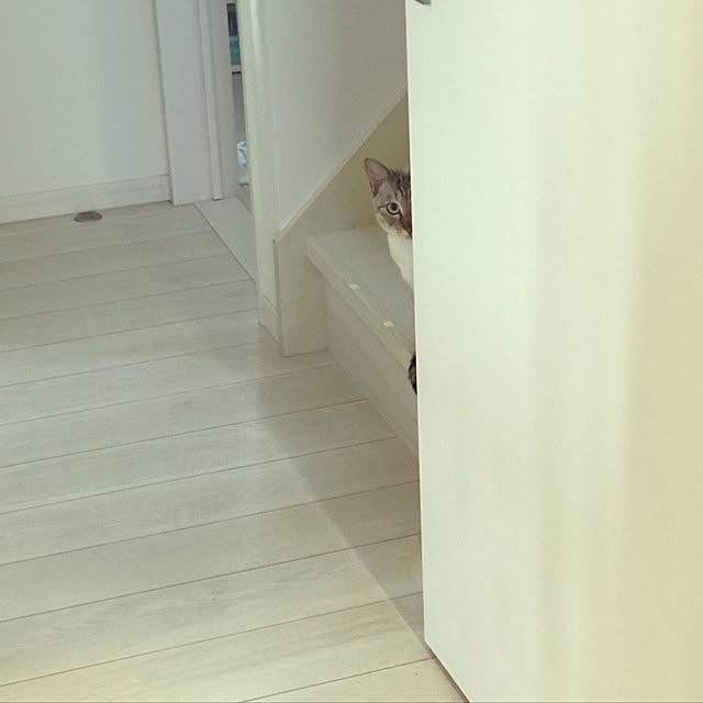 gingerwynksさんの実例写真