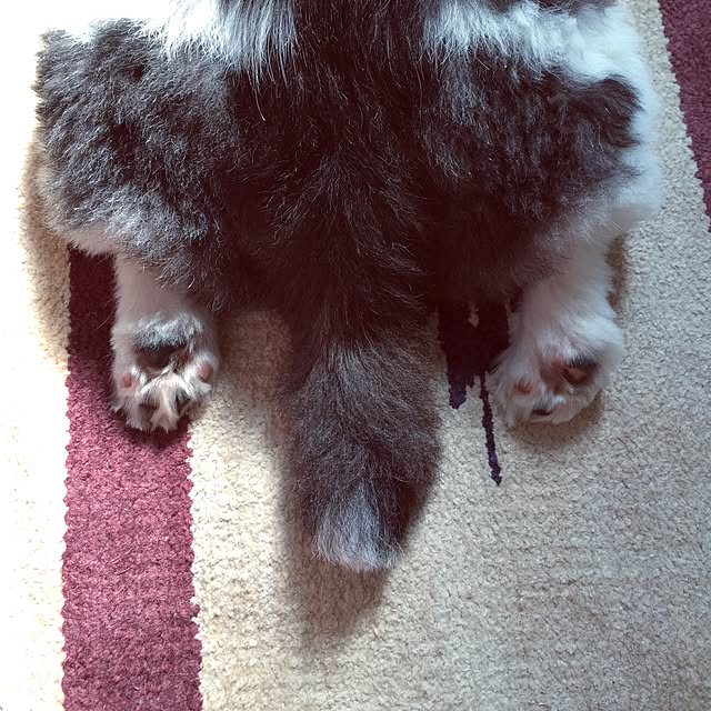 rinaさんの実例写真