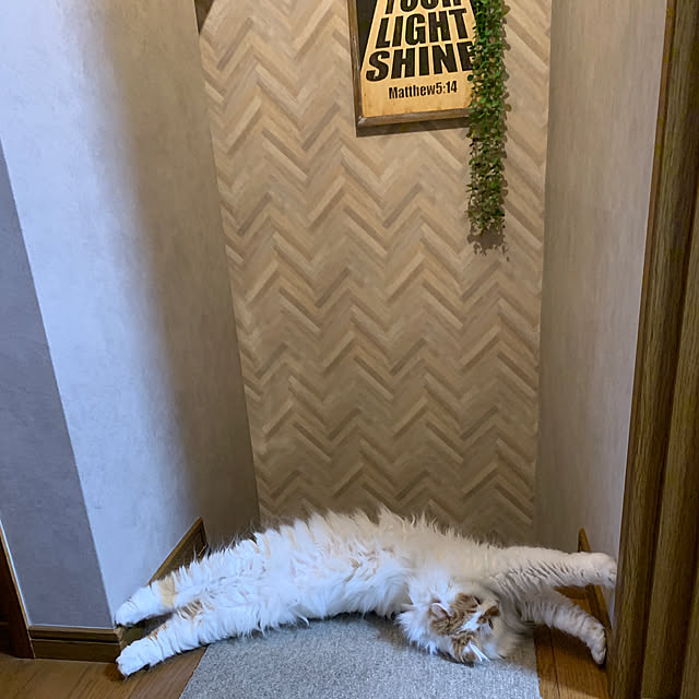 keiさんの部屋