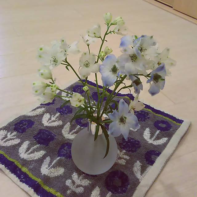 KOHAKUさんの実例写真