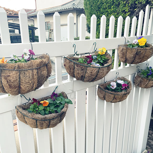 chikaさんの部屋