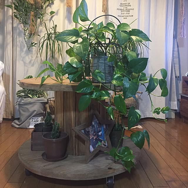 kiyomiさんの実例写真