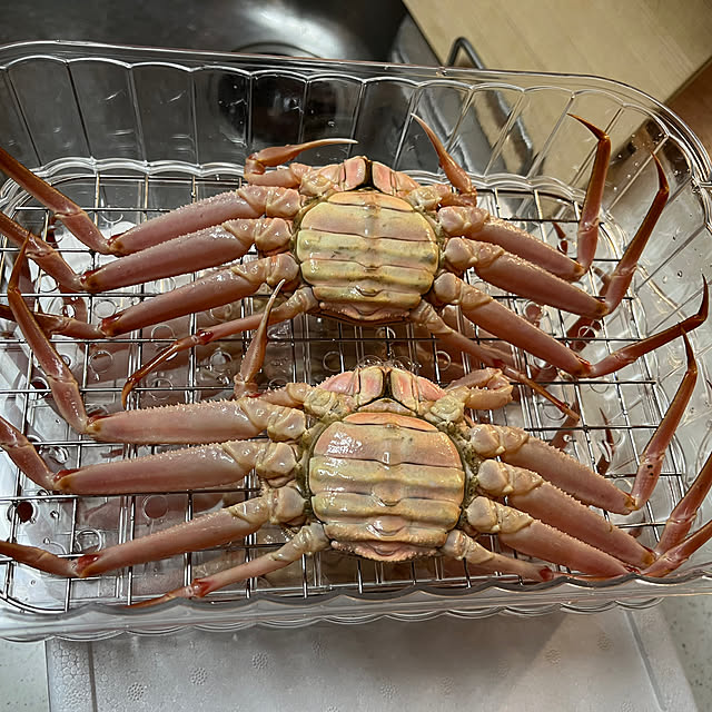 yumingさんの部屋