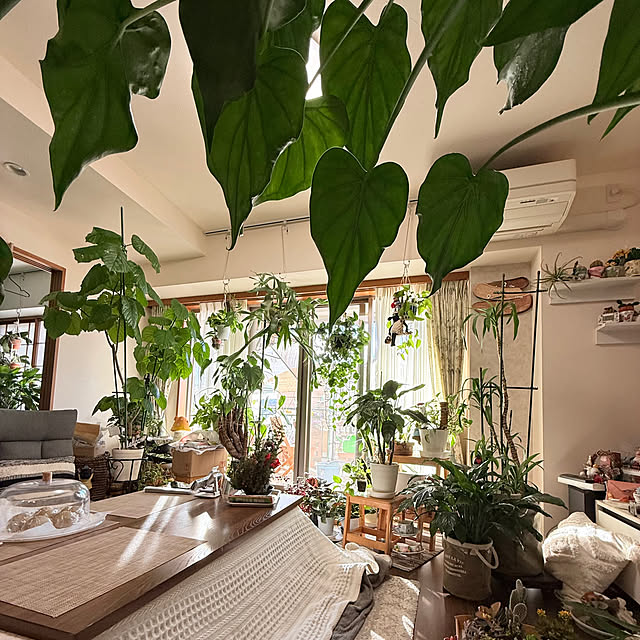 Aqettyさんの実例写真