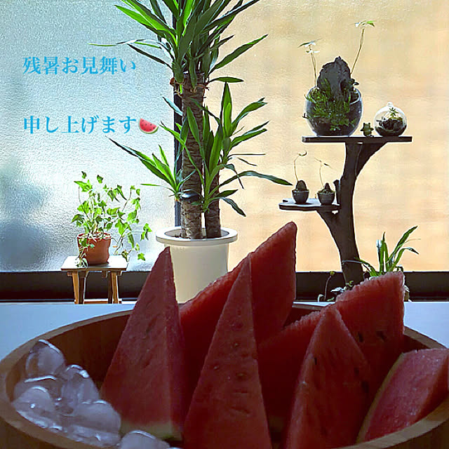 koyuriさんの実例写真